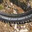 Schwalbe Mountainbike Radialreifen – the next big thing? Albert Radial