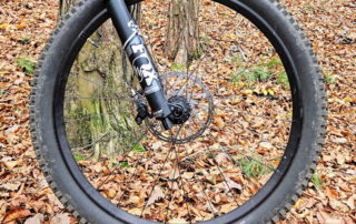 Schwalbe Albert Radial Front