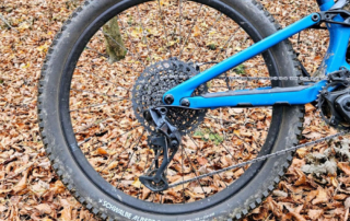 Schwalbe Albert Radial Rear